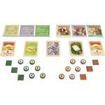CATAN EXP: CITIES & KNIGHTS 5-6 PLAYERS